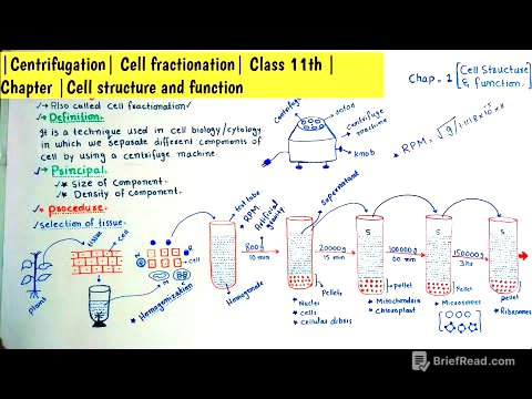 |Centrifugation| Cell fractionation| Class 11th |Chapter |Cell structure and function