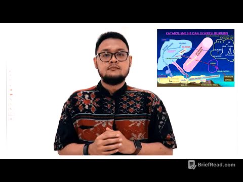 Metabolisme Bilirubin (Katabolisme Heme)