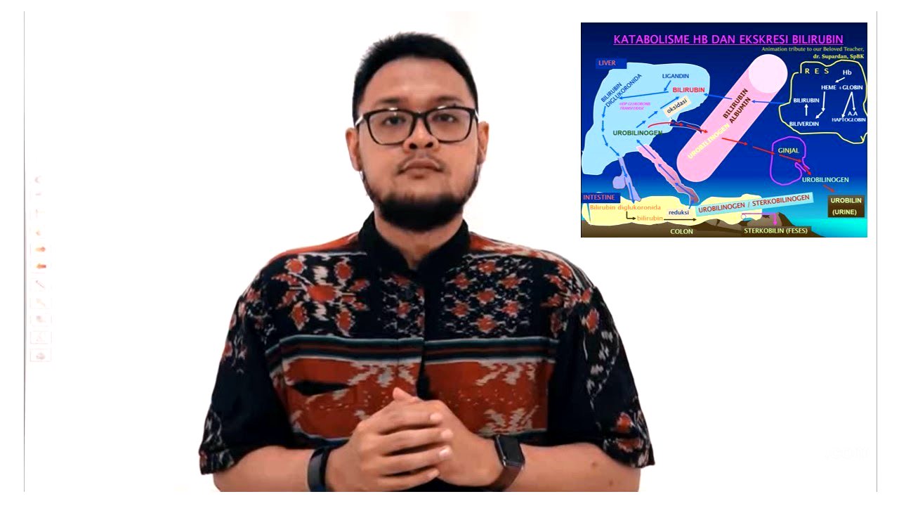 Metabolisme Bilirubin (Katabolisme Heme)