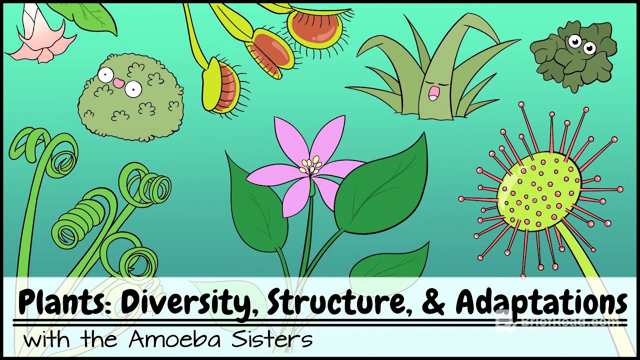 Plants: Diversity, Structure, & Adaptations