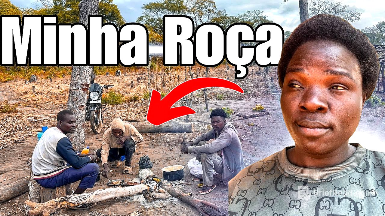 Visitei Minha Machamba: Não Vendi Nada, Só Cuidando e Apoiando Quem Trabalha Lá