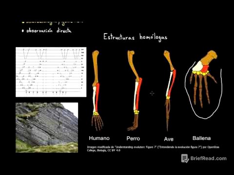 Evidencias de la evolución | Biología | Khan Academy en Español