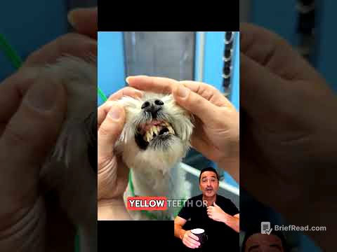 #viral #duet #dogs #pets #foryou #puppy #dogfood #animals #cutedog #funny