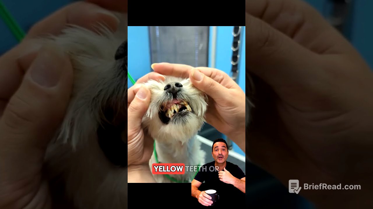 #viral #duet #dogs #pets #foryou #puppy #dogfood #animals #cutedog #funny