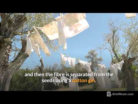 How is the Cotton plant turned into Clothes