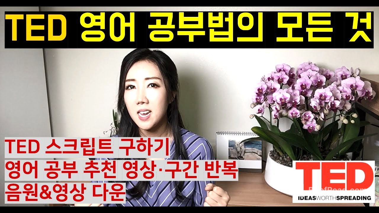 TED 영어 공부법의 모든 것 (추천 테드 강의 영상, 한/영자막 및 스크립트 구하기, 구간 반복 청취 등)