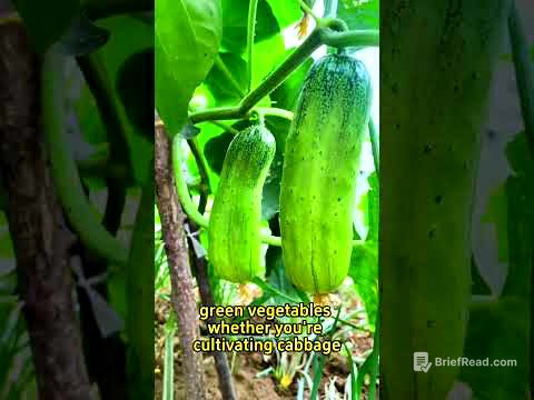#garden #gardening #gardeninghacks #gardentips #gardeningtips #planting #planttips #plantingtips
