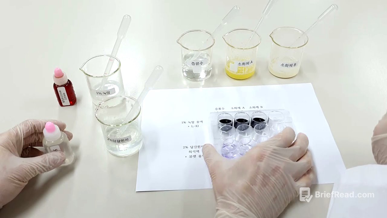 소화제 효능 비교 실험