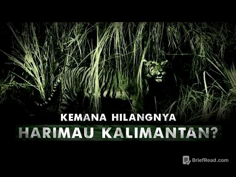 Kenapa Tidak Ada Harimau di Kalimantan? | Harimau Kalimantan