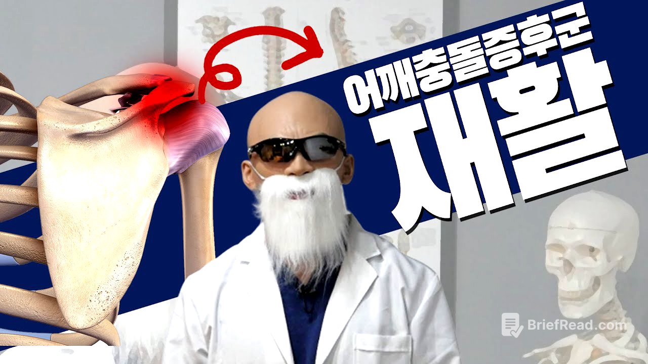 아무도 알려주지 않던 어깨충돌증후군의 핵심 원리, 재활 운동법