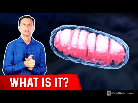 Mitochondrial Protector: AMPK