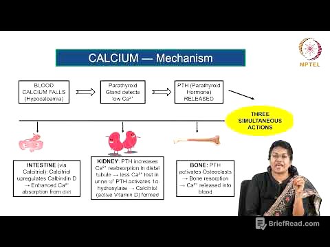 Macrominerals- Part 1