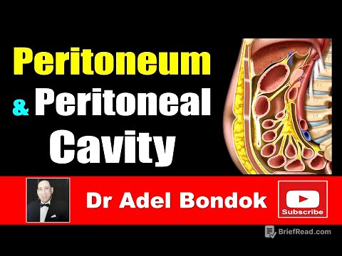 Peritoneum, Peritoneal Cavity, Lesser Sac, Greater Sac and Peritoneal Recesses, Dr Adel Bondok
