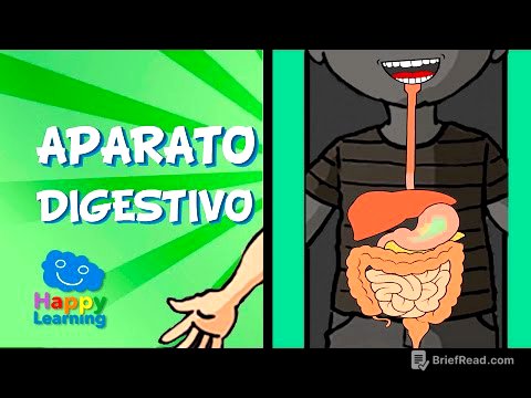 El Aparato Digestivo y la Digestión | Videos para Niños