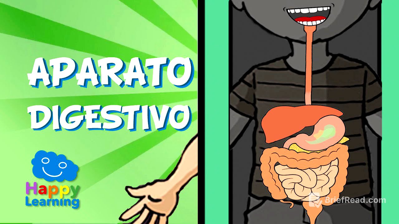 El Aparato Digestivo y la Digestión | Videos para Niños