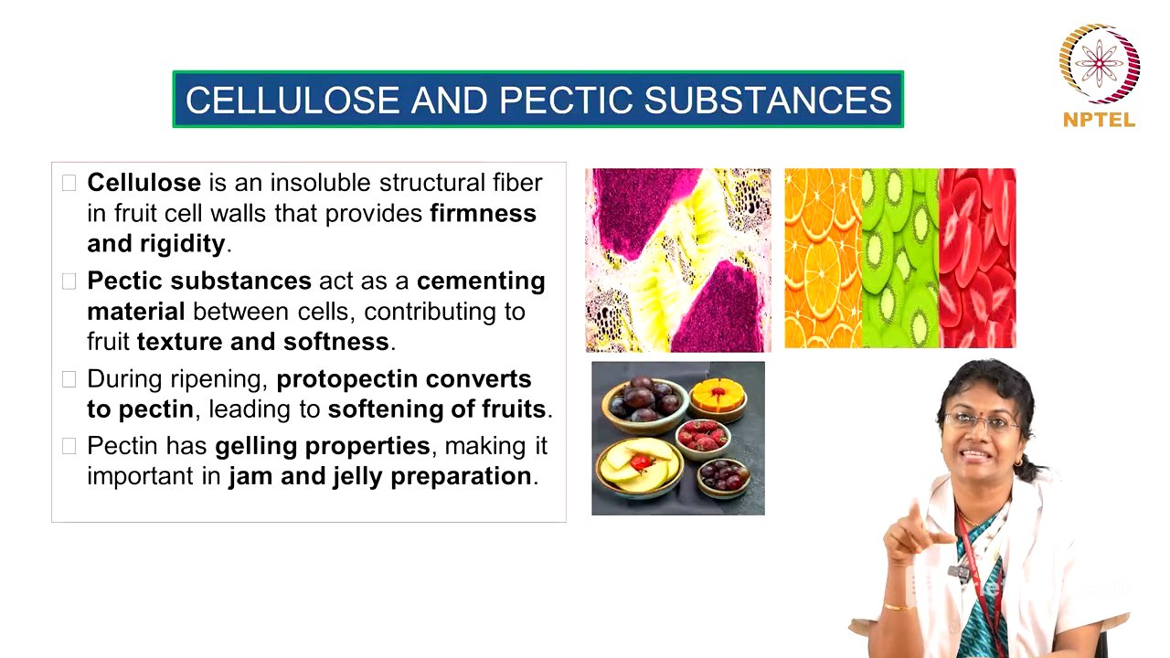 Fruits and Vegetables