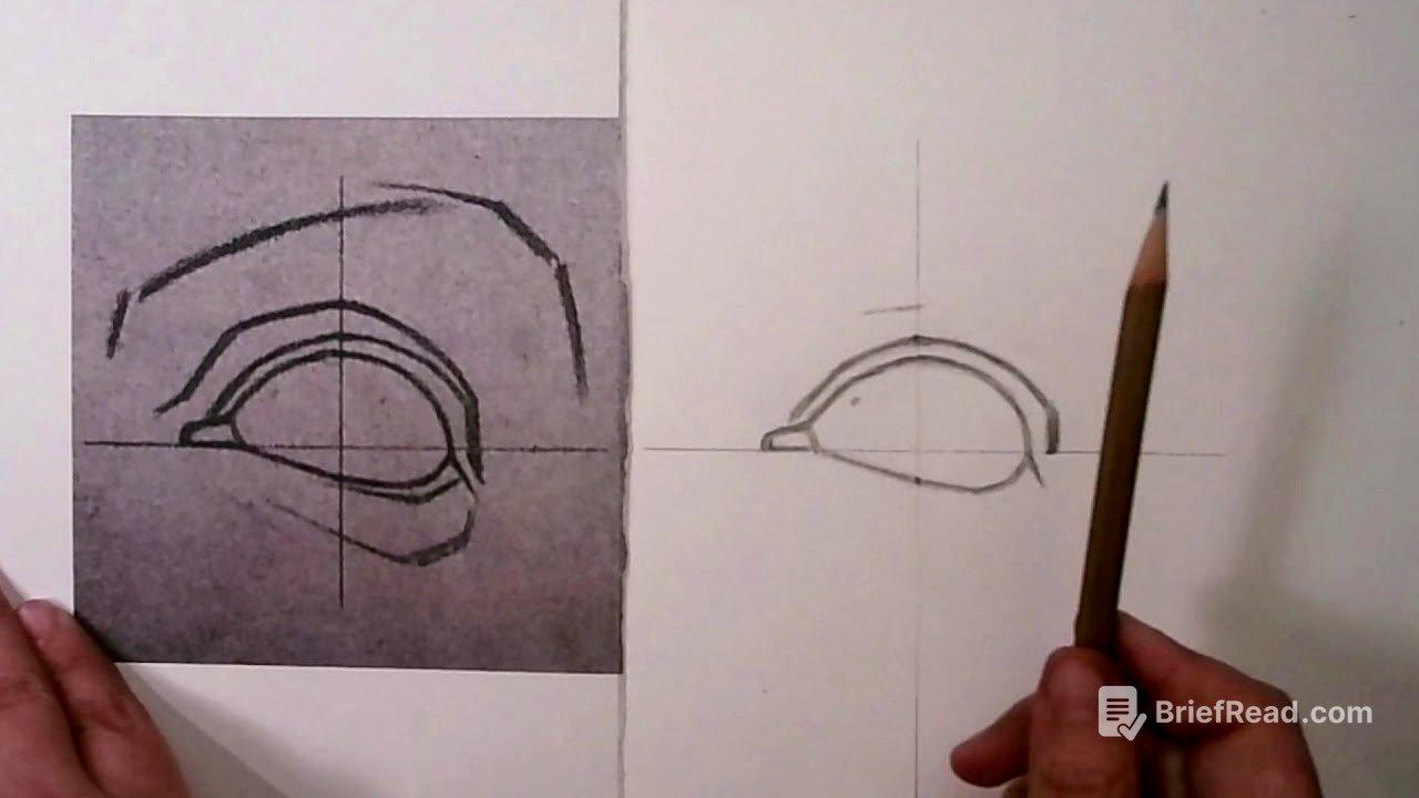 BARGUE EYE Drawing Demonstration from Beginning to End (College Course Assignment)