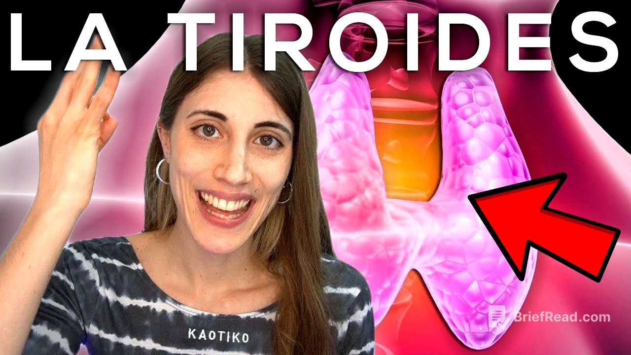 La que puede liar tu TIROIDES: HIPERTIROIDISMO e HIPOTIROIDISMO