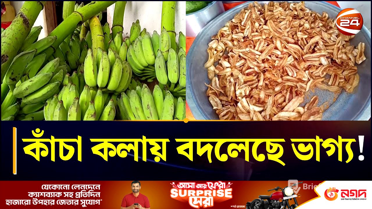কাঁচা কলার চিপসে ভাগ্য বদলাল খাগড়াছড়ির লাকী | Banana chips | Khagrachhari News | Make Money