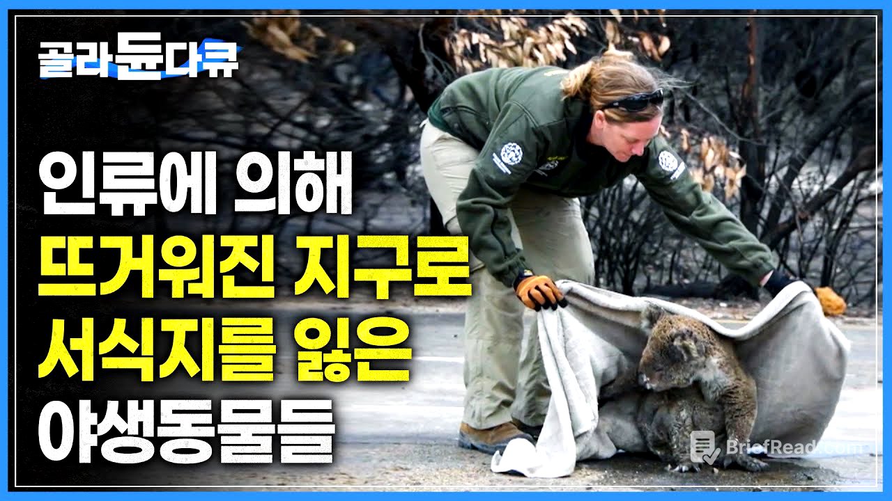 인간의 욕심으로 인해 서식지를 잃은 야생동물과 인간의 갈등 | 기후 변화로 인한 화재, 석탄 채굴을 위한 농경지 개간 등 삶의 터전을 잃은 야생동물들의 이야기 | #골라듄다큐