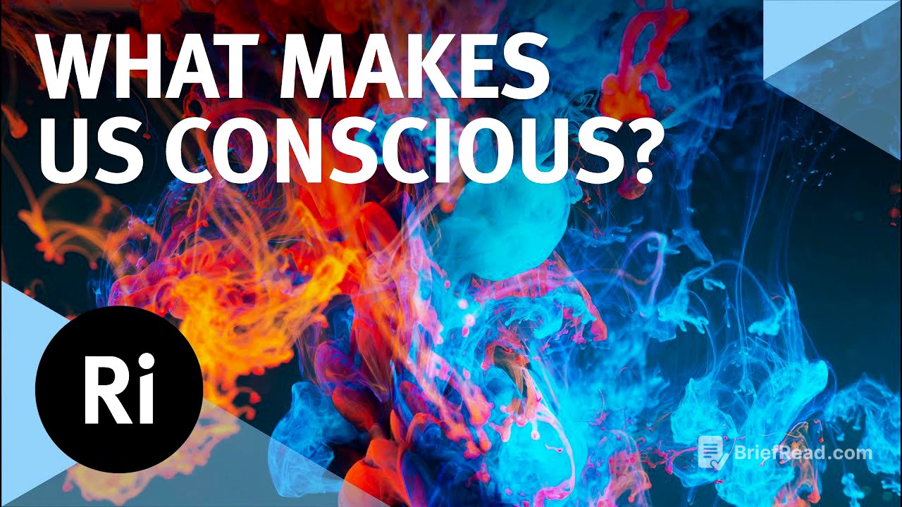 The Source of Consciousness - with Mark Solms
