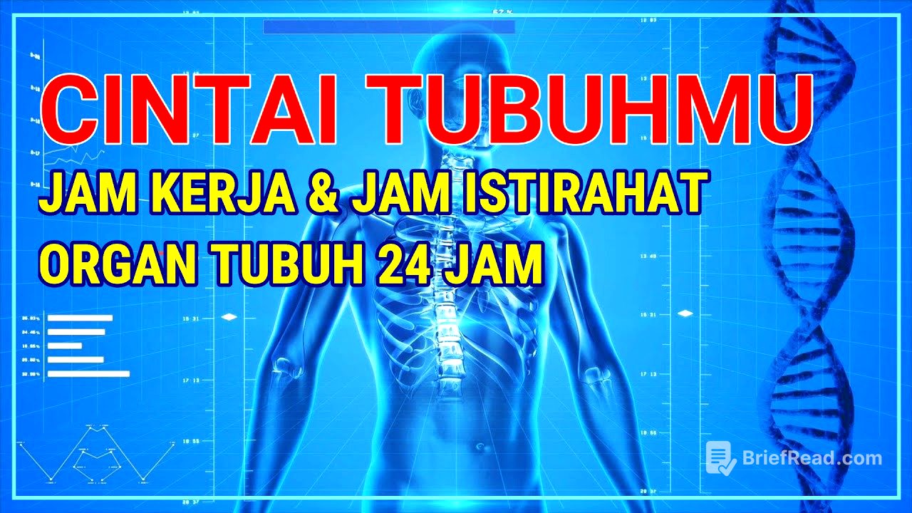 JAM KERJA ORGAN TUBUH MANUSIA DALAM 24 JAM | TUBUH PERLU ISTIRAHAT | TIPS SEHAT DAN PANJANG UMUR