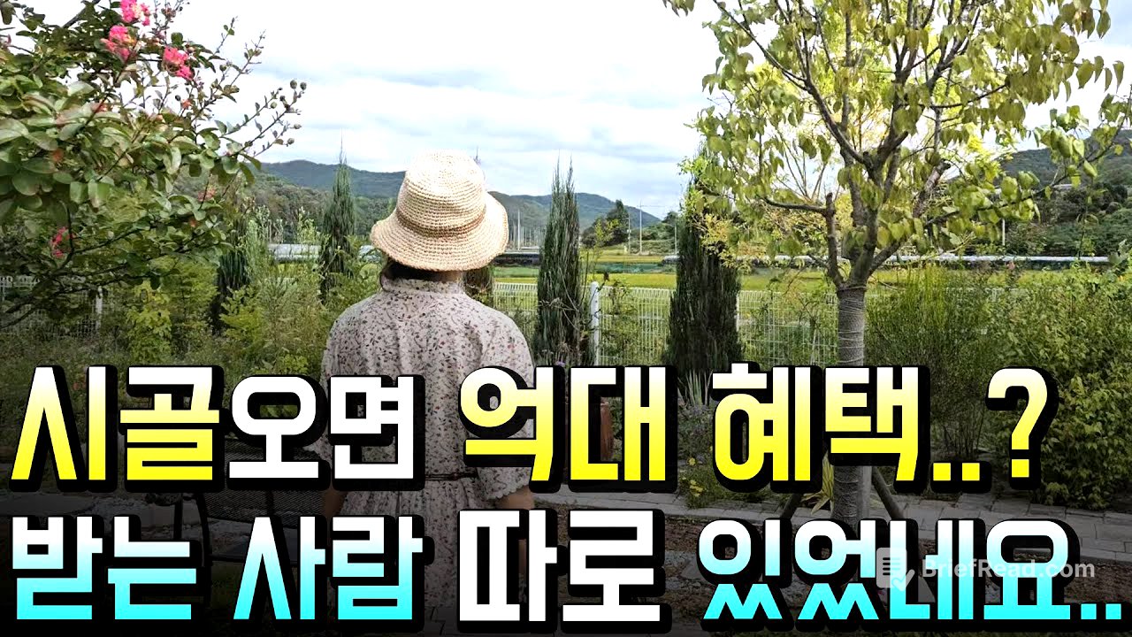 귀촌 미혼 30대는 서글프다.. 그럼에도 도시로 돌아가지 않는 이유