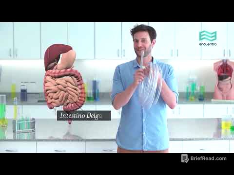 Sistemas. Cuerpo humano: Digestivo (capítulo completo) - Canal Encuentro HD