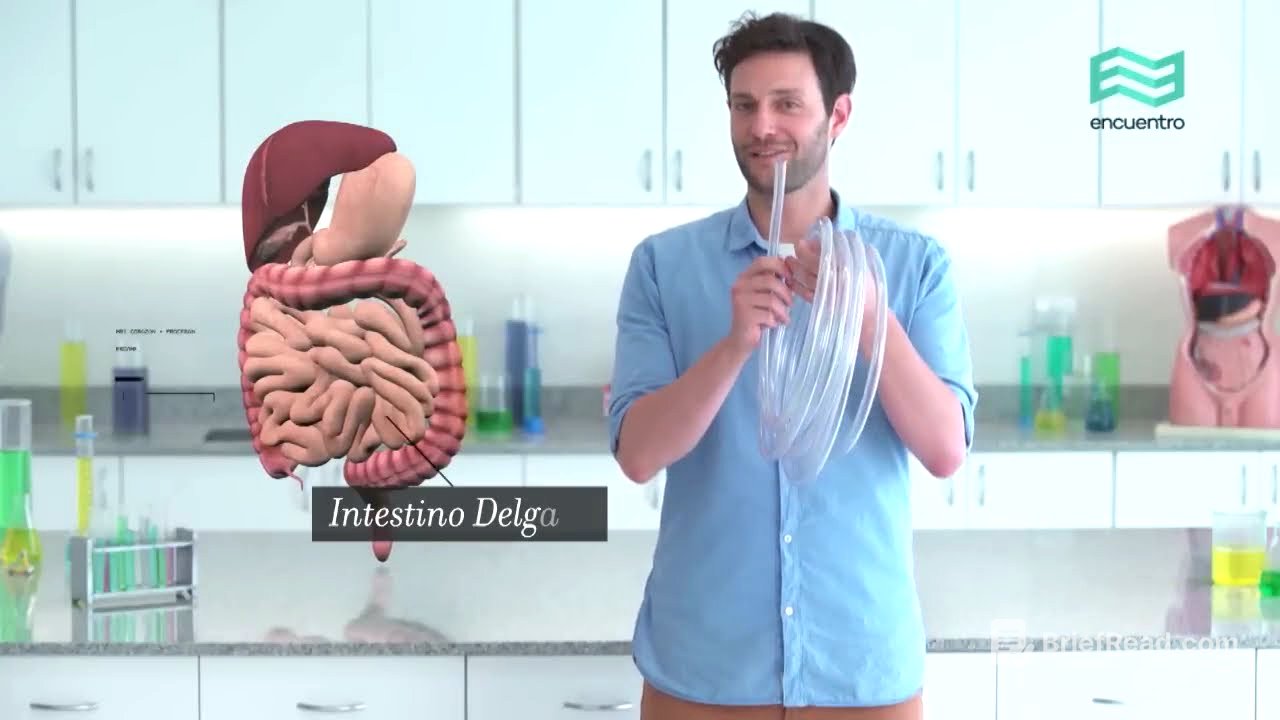 Sistemas. Cuerpo humano: Digestivo (capítulo completo) - Canal Encuentro HD