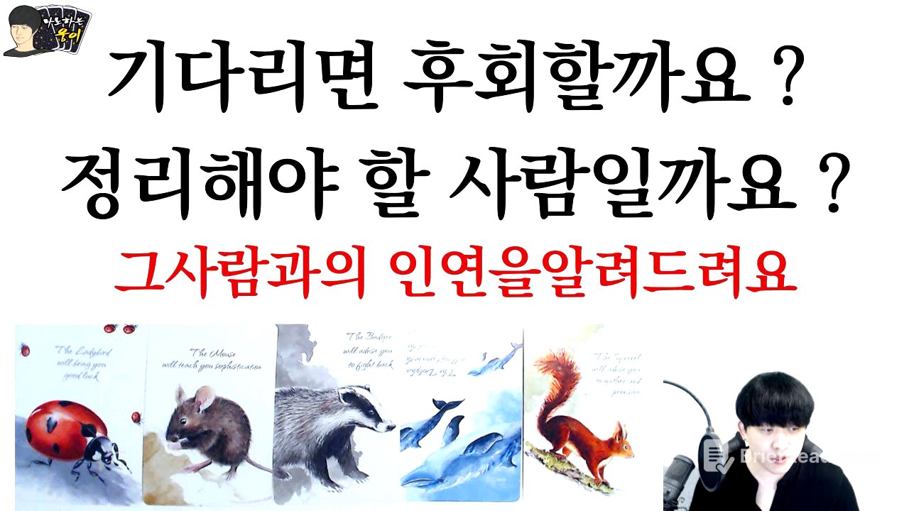 (타로)기다릴까, 정리할까? 인연의 끝, 그 사람의 속마음과 연락·재회 운