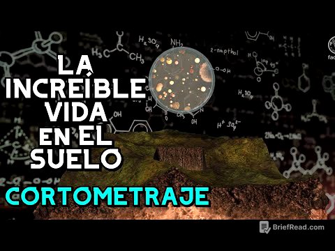 ¡La vida del suelo! Cortometraje🌎 - FAO
