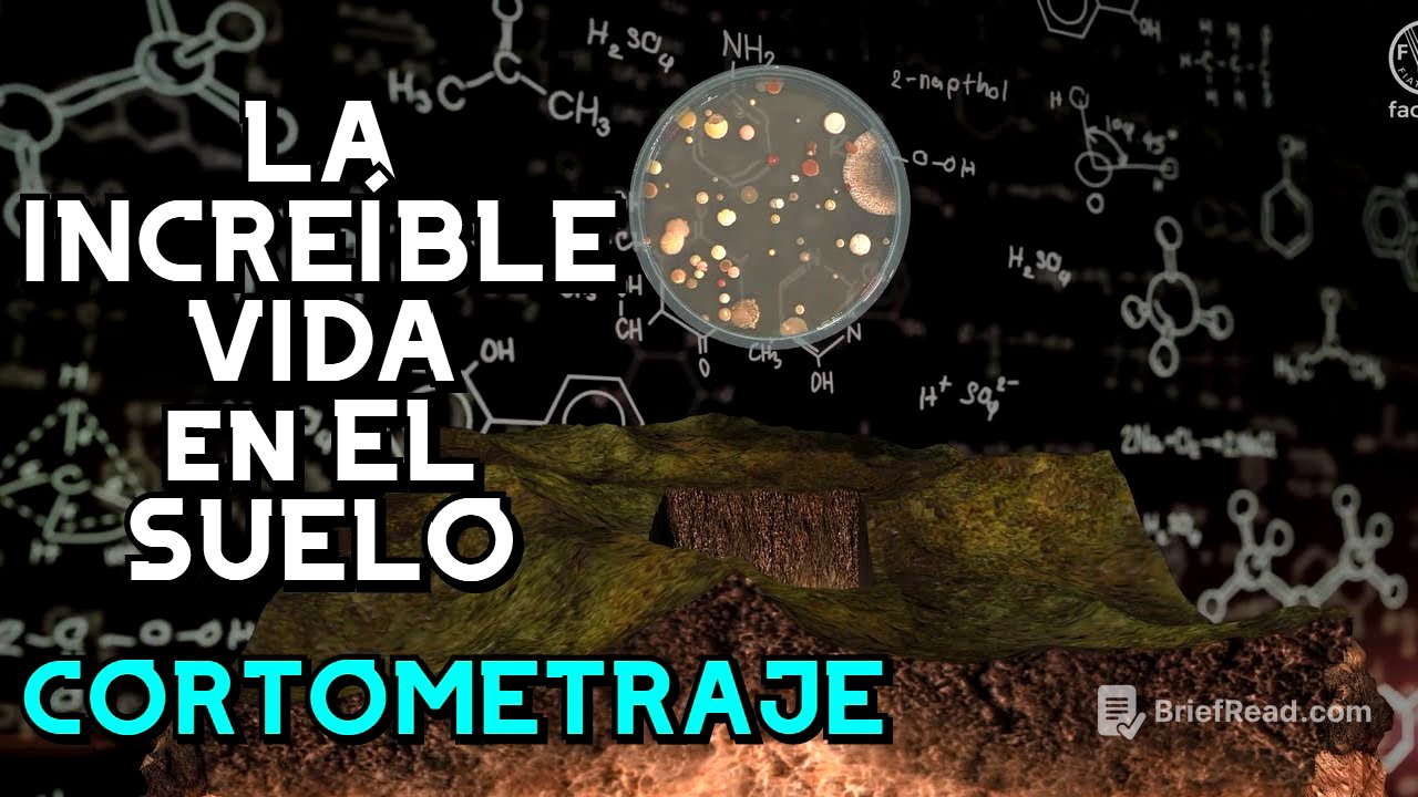 ¡La vida del suelo! Cortometraje🌎 - FAO