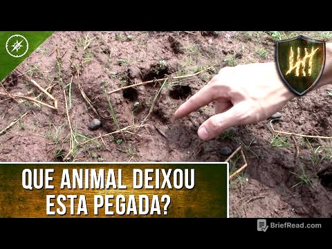 Rastreamento de animais e pessoas: Identificando os rastros - Ep.01