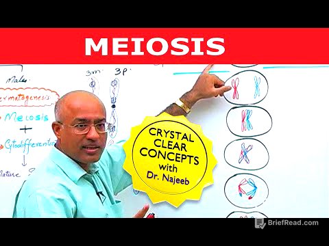 Meiosis | Dr Najeeb