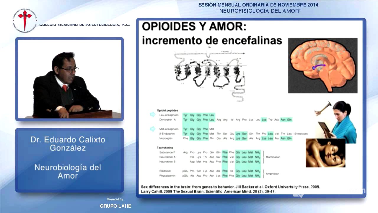 Dr. Eduardo Calixto González, Fisiobiología del Amor - 01/12/2014