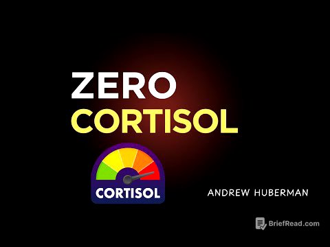 This Will Get You to 0% Visceral Fat in 30 Days (Drops Cortisol) | Andrew Huberman