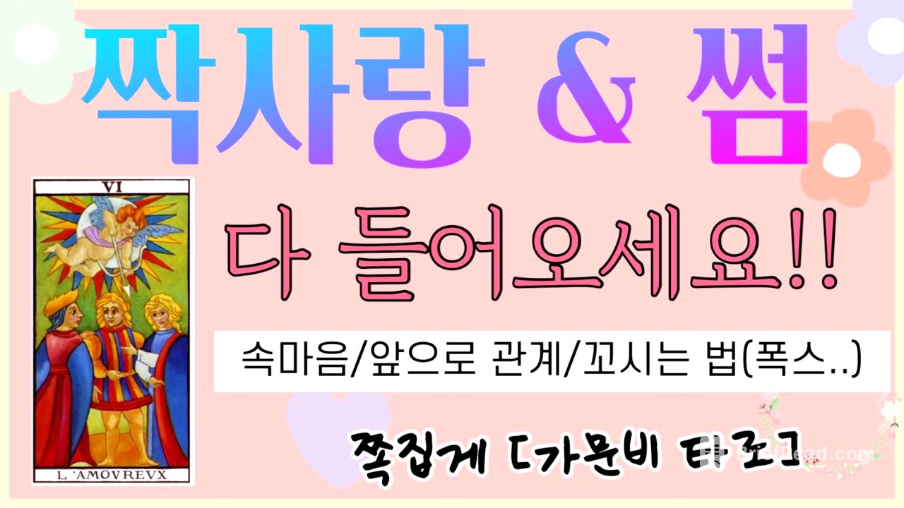 [타로] 짝사랑,썸 다 들어오세요 !! 연애합시다🌸  #연애운 #타로 #속마음