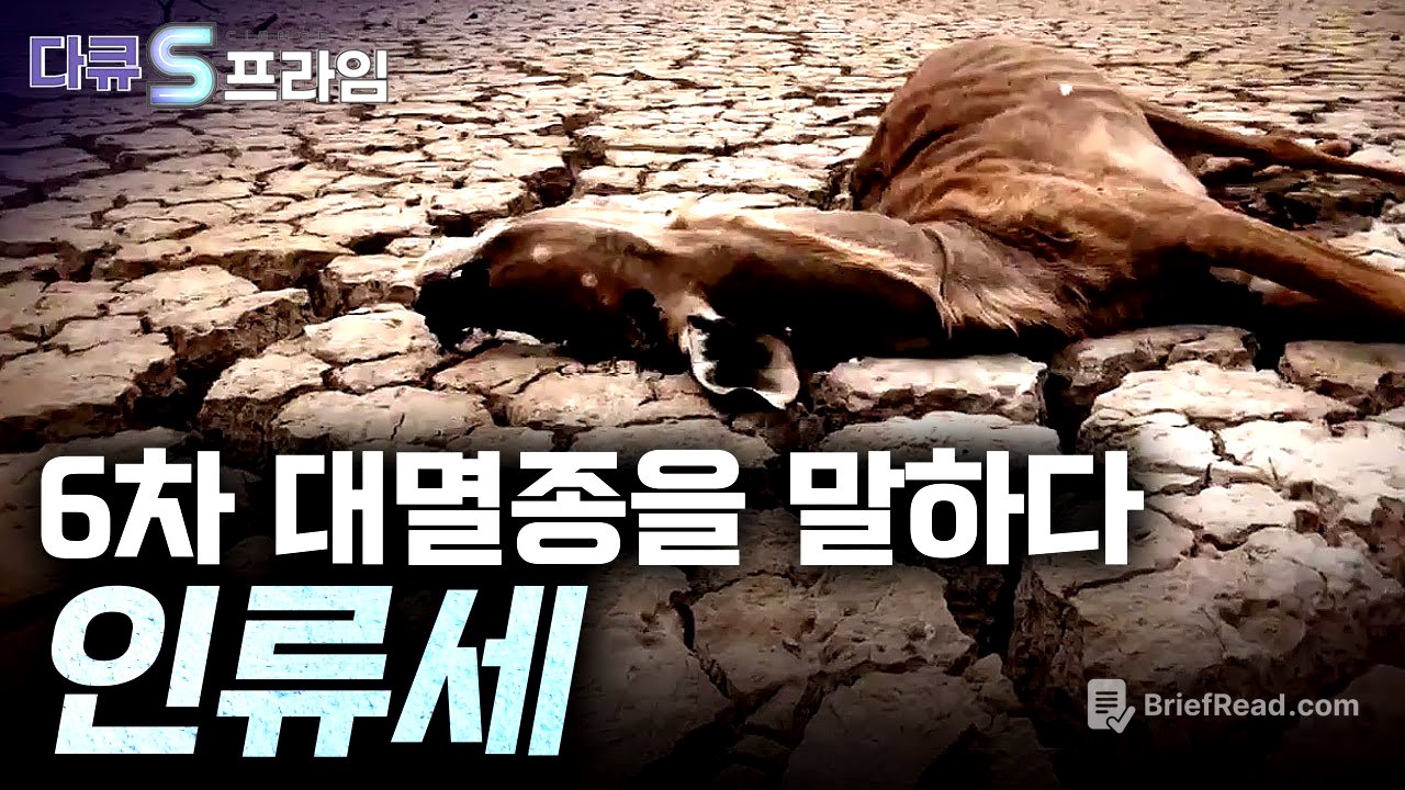 [다큐S프라임] 인류는 지구의 환경을 어떻게 바꾸어 놓았을까? / YTN 사이언스