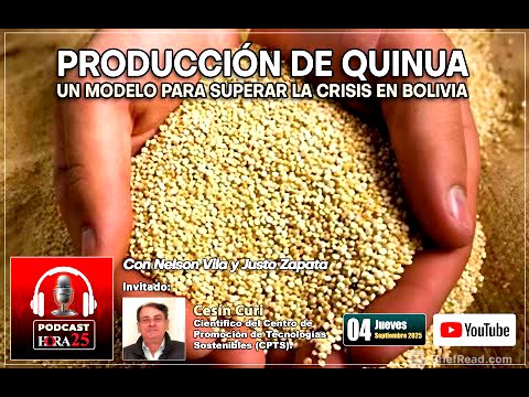 Producción de quinua. Un modelo para superar la crisis en Bolivia