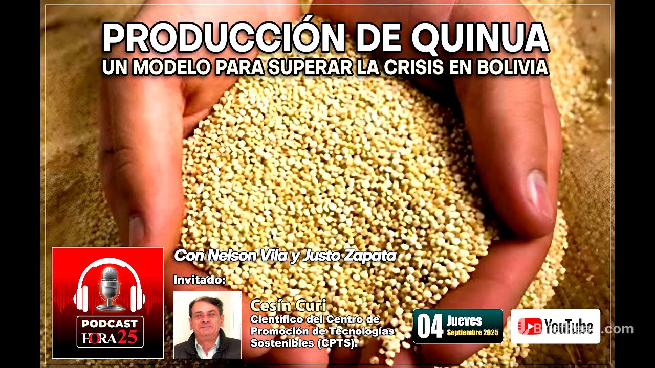 Producción de quinua. Un modelo para superar la crisis en Bolivia