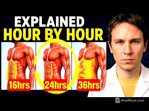 Your Organs During a 36 Hour Fast Explained (Hour by Hour)