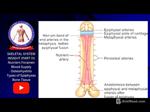 RIM/TNA with DO - Skeletal System Insight III