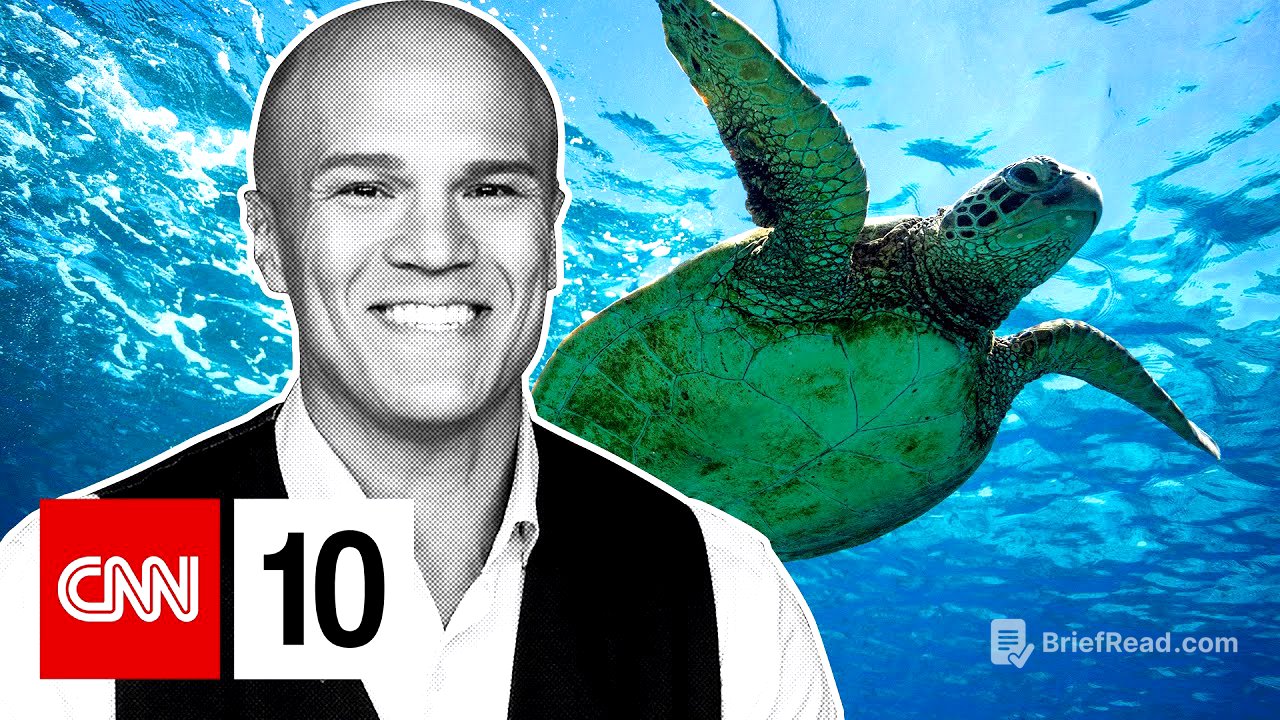 A Turtle Rescue In Maui | April 23, 2025
