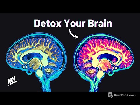 How I Reset My Dopamine Levels (And You Can Too)