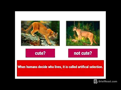 Evolution 1: Natural Selection vs. Artificial Selection