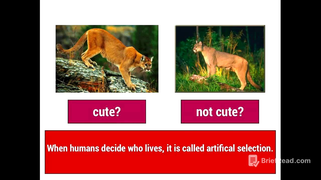 Evolution 1: Natural Selection vs. Artificial Selection