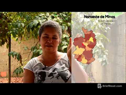 Bendita Terra - Raízes da luta