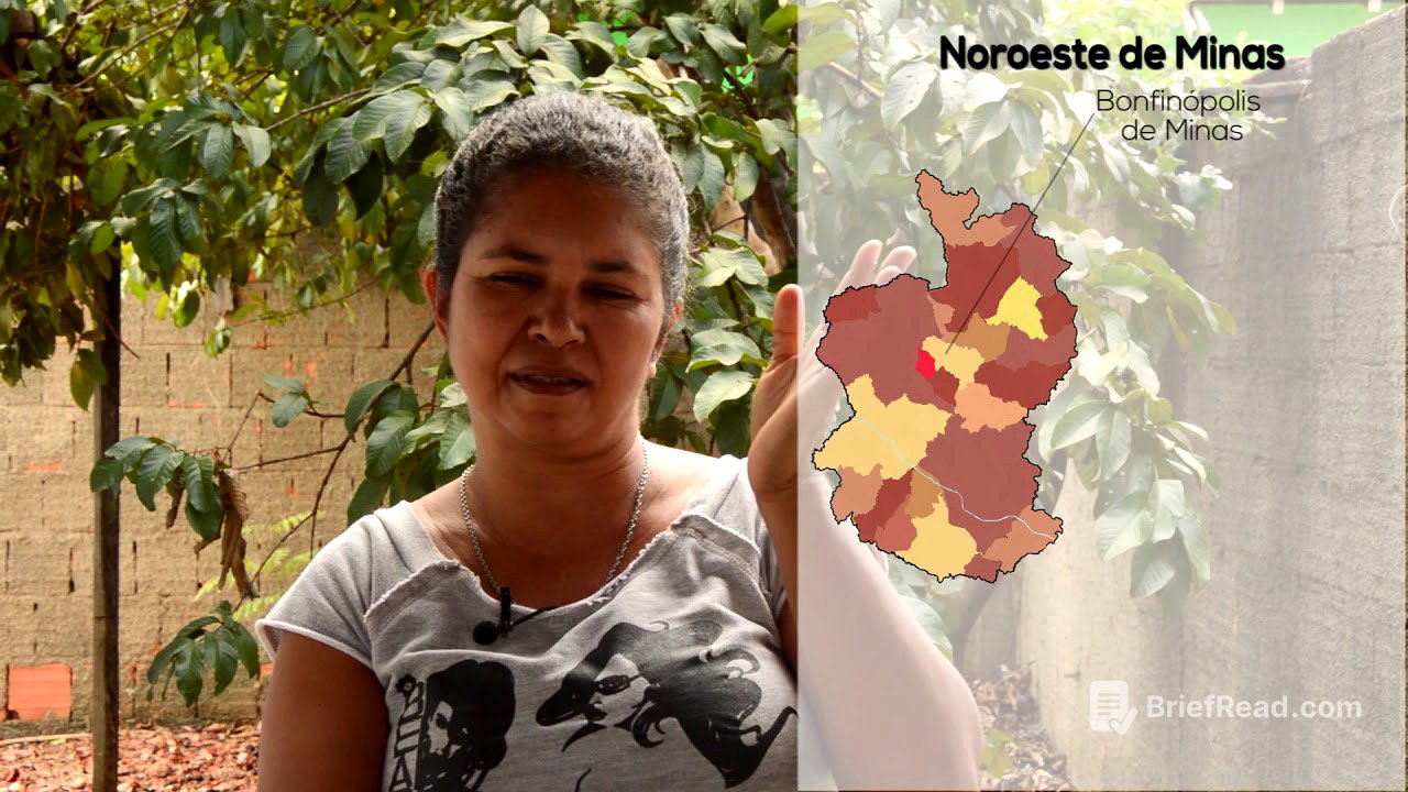 Bendita Terra - Raízes da luta