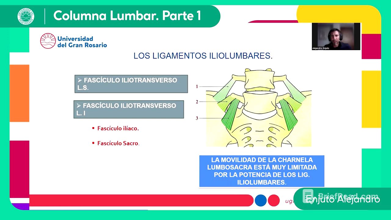Columna Lumbar  Parte 1 - Lic. Enjuto Alejandro