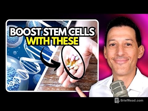Top 10 Supplements to Boost Stem Cells Naturally